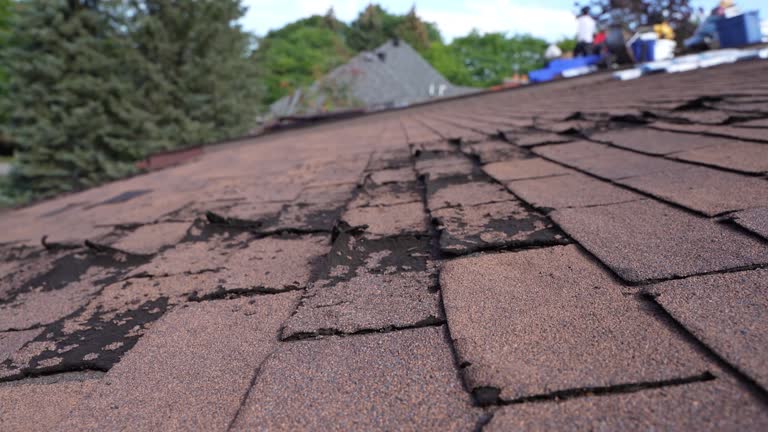 Best Roof Leak Repair  in Clksville, AR