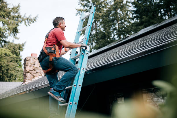 Best Asphalt Shingles Roofing  in Clksville, AR