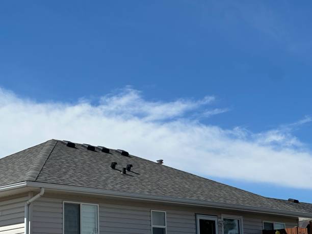 Best 4 Ply Roofing  in Clksville, AR